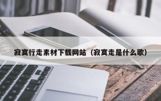 禹城寂寞行走素材下载网站（寂寞走是什么歌）