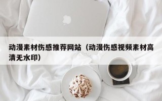 禹城动漫素材伤感推荐网站（动漫伤感视频素材高清无水印）